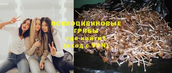 гидропоника Алексеевка